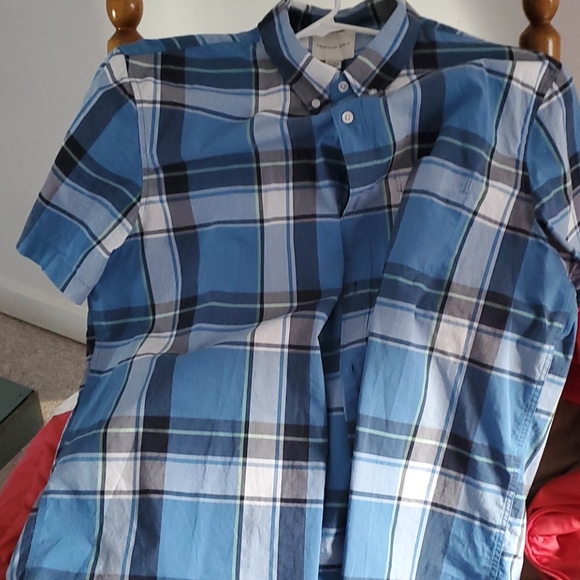 American eagle - Picture 2 of 4